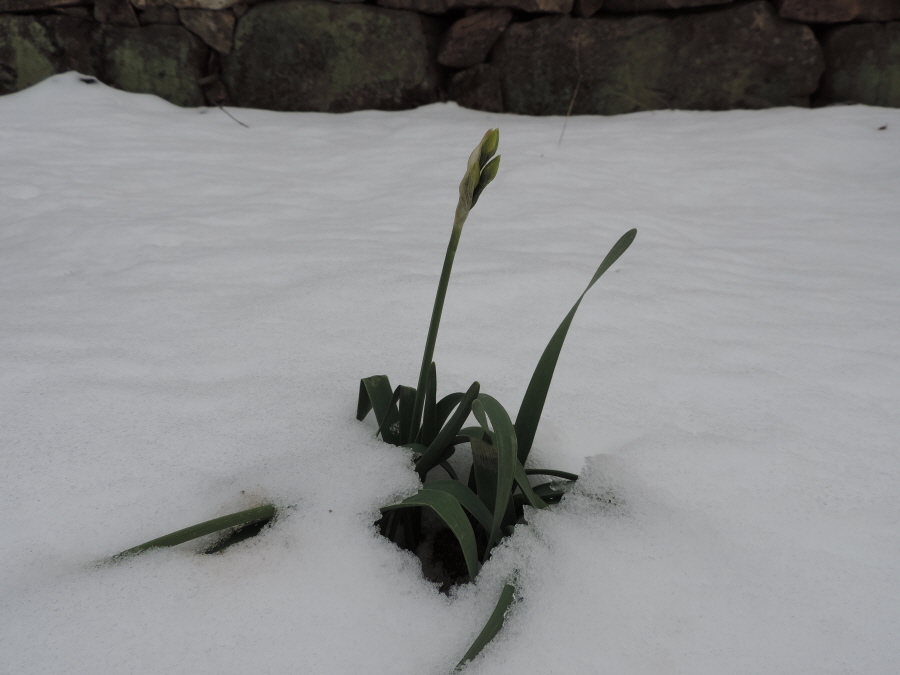 DSCN9337.JPG