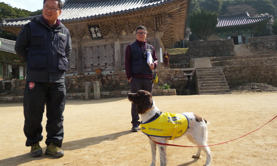 20160322_100907.jpg
