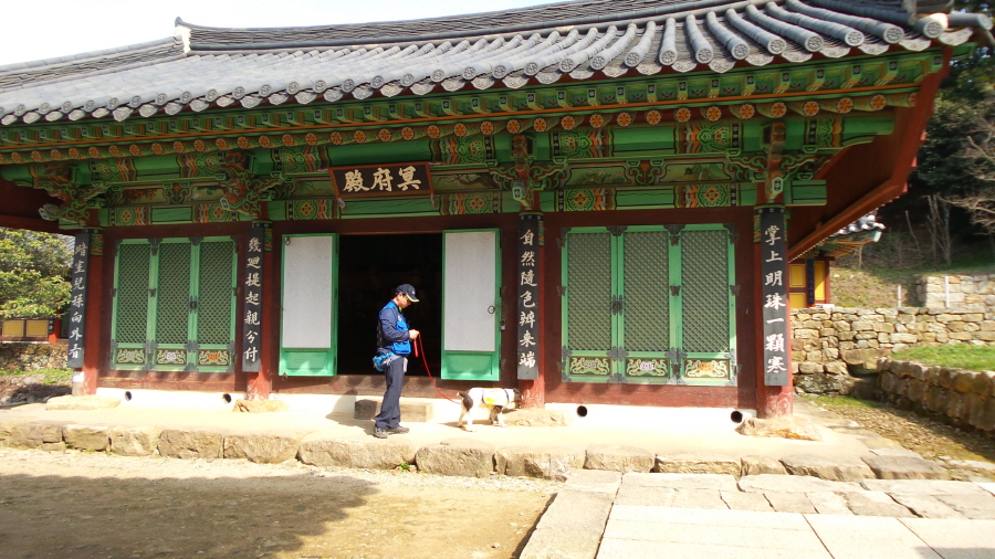 20160322_102513.jpg