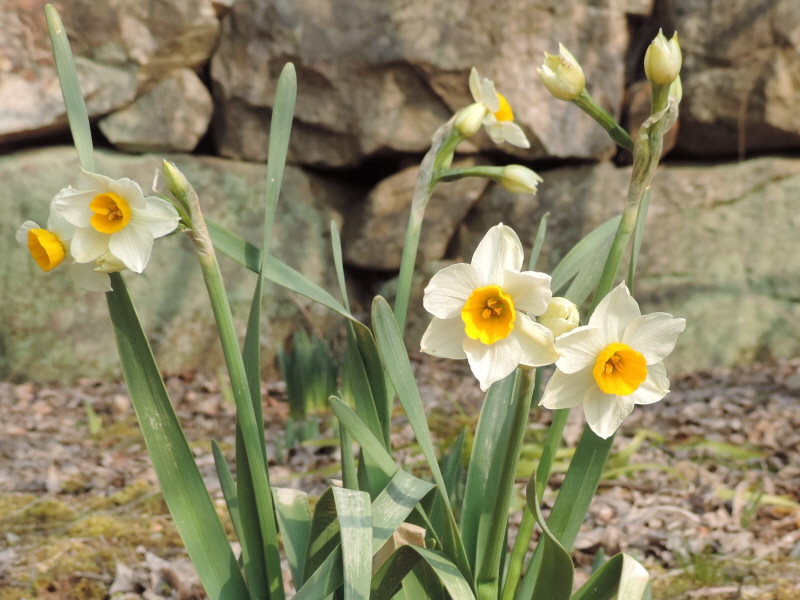 DSCN9418.JPG