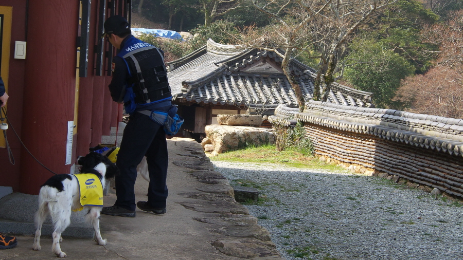 20160322_101845.jpg