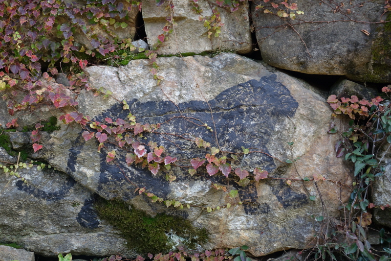 _DSC05681.JPG